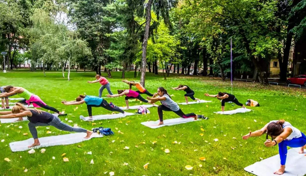 Yoga Garden